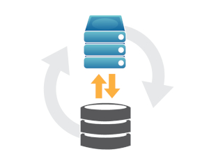 Server Backup